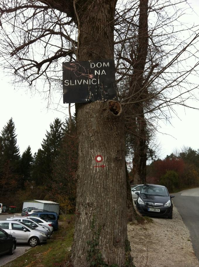 Odkrivaj Slovenijo | Foto: 