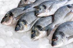 Obrok z ocvrto ribo v testu razglašen za najslabšega v ZDA