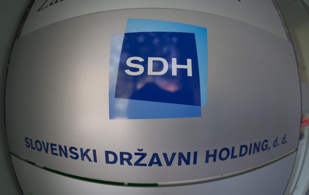 SDH |  Nadzorniki SDH so na predlog uprave zeleno luč prižgali v petek pozno popoldne. | Foto Bojan Puhek