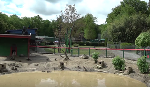 Neurje opustošilo živalski vrt #video