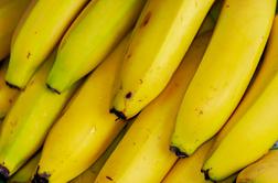 Z bananami do vrtnega gnojila