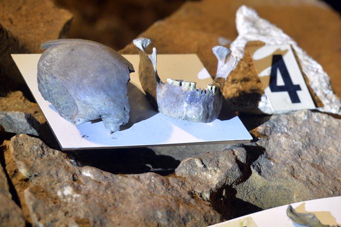 V češki jami Zlaty kůn (Zlati konj po slovensko) so leta 1950 odkrili ostanke človeške lobanje, za katero so arheogenetiki odkrili, da je stara vsaj 45 tisoč let. Pripadala je ženski, pripadnici anatomsko sodobnih ljudi, ki so poselili Evropo pred okoli 60 do 45 tisoč leti, a so pozneje, pred 39 tisoč leti, verjetno zaradi izbruha supervulkana izumrli. | Foto: Guliverimage/Vladimir Fedorenko