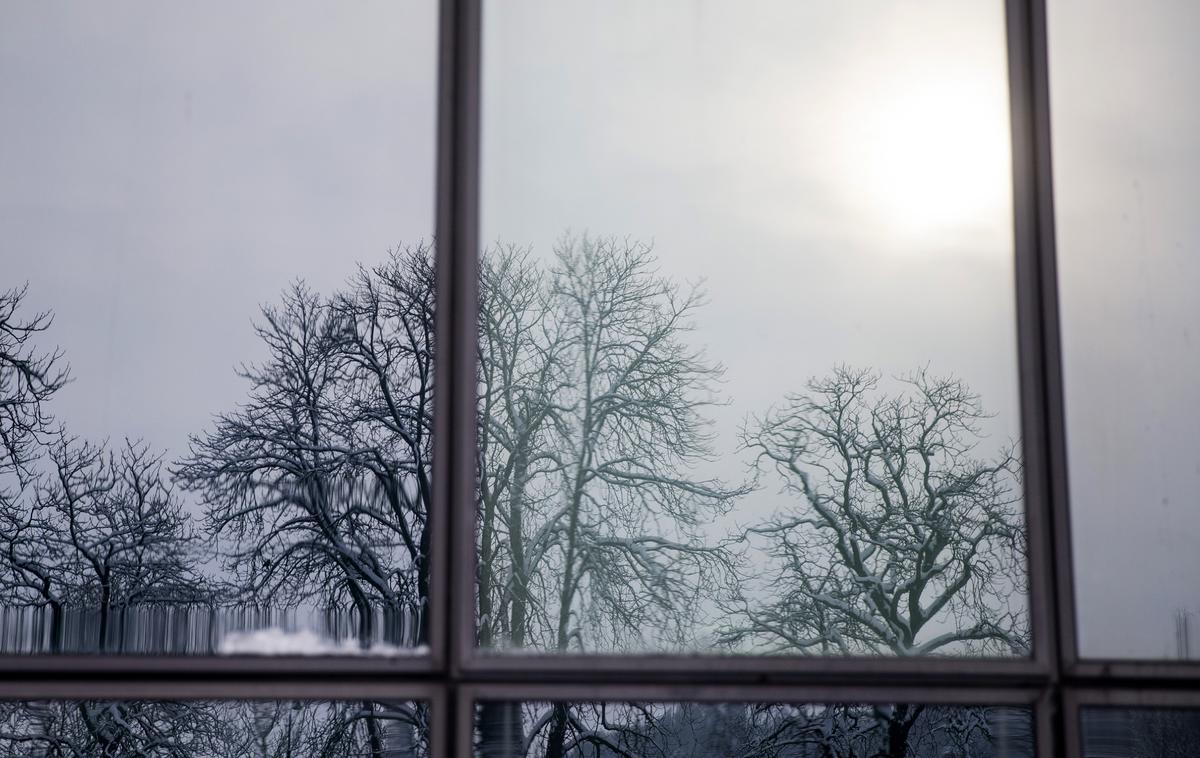 Mraz | Najnižje jutranje temperature bodo od -14 do -6 stopinj Celzija. | Foto Ana Kovač