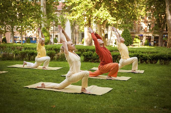 Foto: Yoga in Daily Life – The System │ Bojan Radin | Foto: 