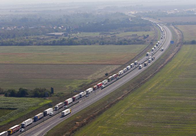 Dolge kolone tovornjakov so že dalj časa stalnica slovenskih avtocest, po katerih potekajo pomembne mednarodne tranzitne poti. | Foto: Klemen Korenjak