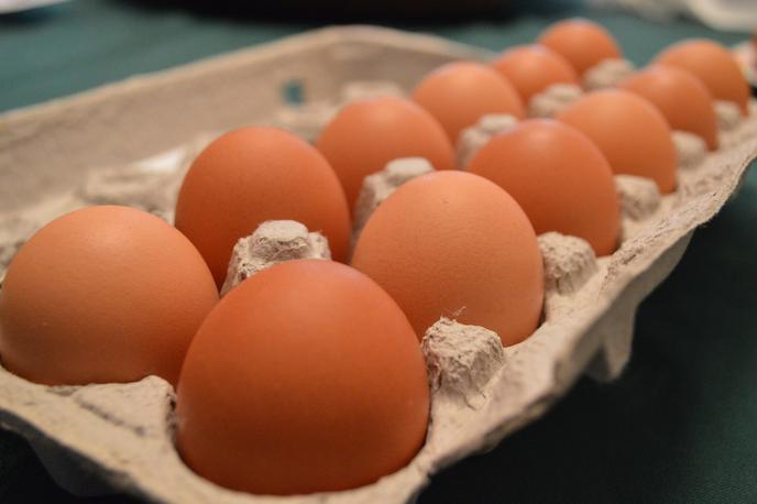 jajca | Britanski svet za proizvodnjo jajc je naznanil, da se njihovi člani trenutno poleg s strmoglavimi vhodnimi stroški soočajo tudi z negativnimi odzivi trgovcev na drobno, ki ne pristanejo na višje odkupne cene jajc. | Foto Pixabay