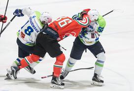 Slovenija Madžarska pripravljalna tekma hokej pretep