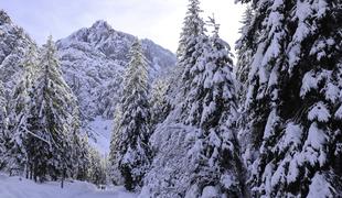 Najlepši nezahtevni zimski pohodi v slovenskih gorah #video