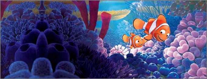 Z oskarjem za najboljši animirani celovečerec nagrajena Pixarjeva uspešnica pripoveduje zgodbo o samčku klovnske ribice, ki v družbi pozabljive prijateljice preplava ocean, da bi rešil svojega izgubljenega sina. • V četrtek, 29. 7., ob 9.20 na HBO 3.* │ Tudi na HBO OD/GO. | Foto: 