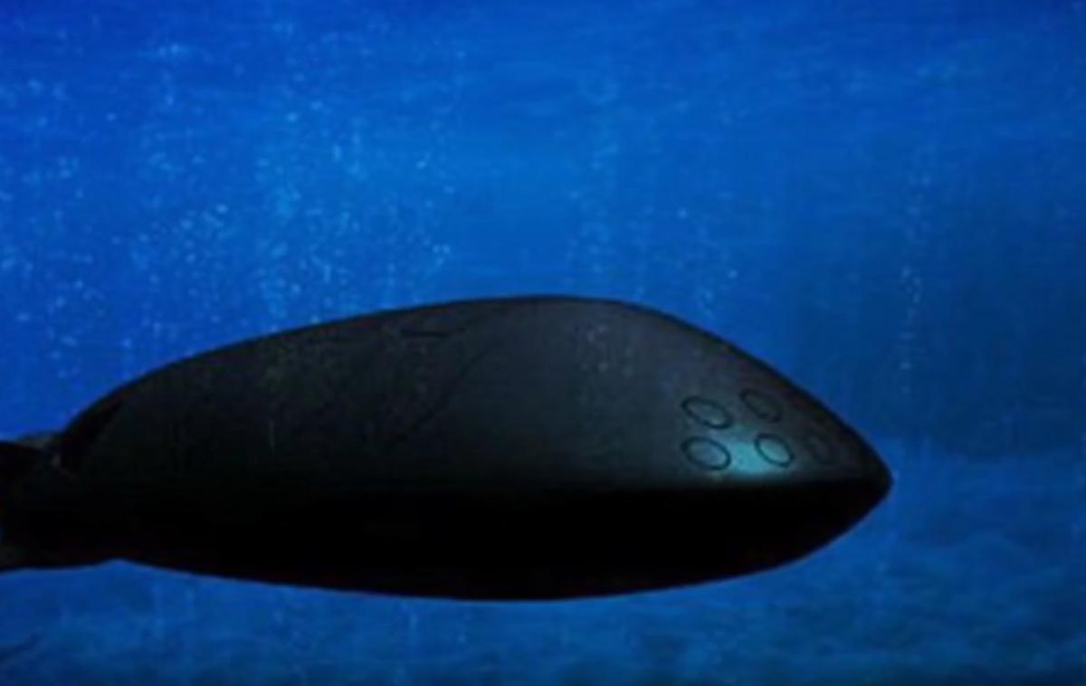 Orožje pozejdon | Tuji mediji to brezpilotno podmornico vztrajno opisujejo kot orožje sodnega dne. | Foto YouTube/Posnetek zaslona