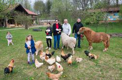 Kmetija Čebelji gradič, dom ene od najštevilčnejših družin v Prekmurju #video