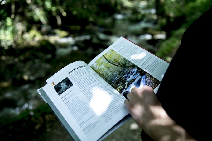 V vodniku Živa coprnija Pohorja in Istre je zapisana z Bistrškim vintgarjem povezana zgodba o povodnem možu, ki je ugrabil pastiričko. | Foto: Ana Kovač