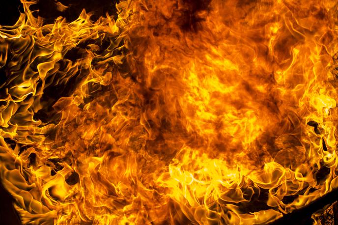ogenj, požar | Ogenj je zajel približno pet hektarjev podrasti in borovcev. Fotografija je simbolična. | Foto Getty Images