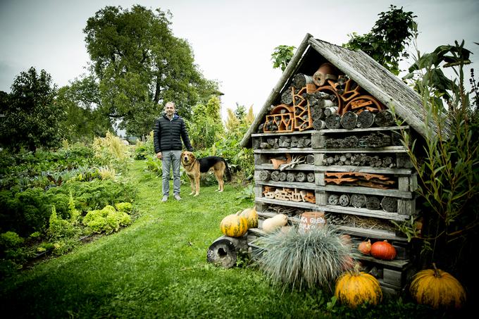 Žuželke so na njihovem vrtu zelo dobrodošle, privabljajo jih na različne načine. | Foto: Ana Kovač