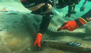 Sijajno odkritje v morju na Hrvaškem: pravi zaklad le dva metra pod gladino