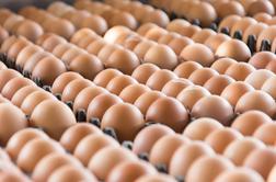 Inšpektorji odkrili 17 kilogramov oporečnih jajčnih izdelkov