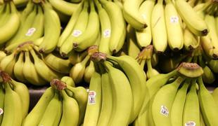 Ali kmalu ne bomo več jedli banan?