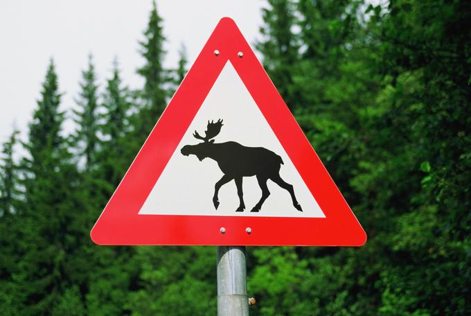 Obcestni znaki, ki opozarjajo na prisotnost losov, v Kanadi in severnejših delih ZDA niso redkost. | Foto: 