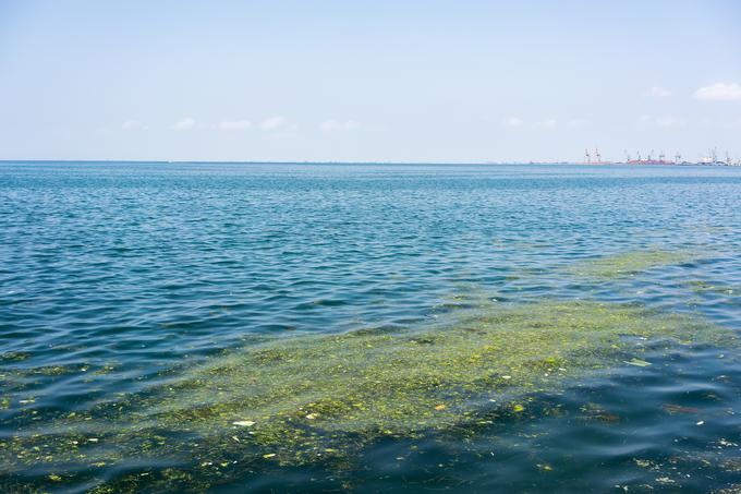 Veliko odpadne plastike se znajde tudi v morju. | Foto: Thinkstock