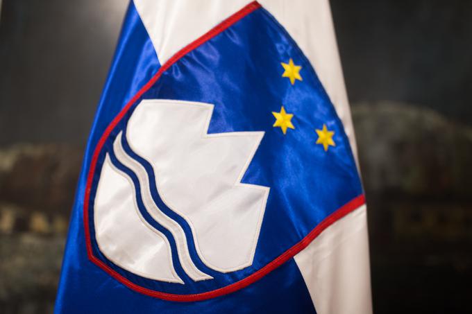 Razvijalcem videoigre F1 2020 bi spletno preverjanje slovenske zastave oziroma njenega grba vzelo nekaj sekund.  | Foto: Nik Jevšnik/STA