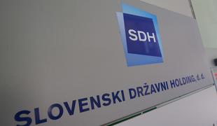 SDH v odprodajo manjšinskih deležev v 15 podjetjih