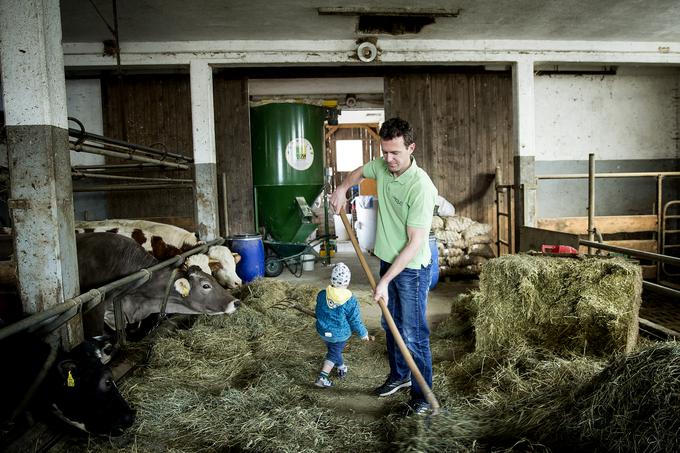 Kmetija Odems Predoslje Gregor Ovsenik seneno mleko | Foto: Ana Kovač