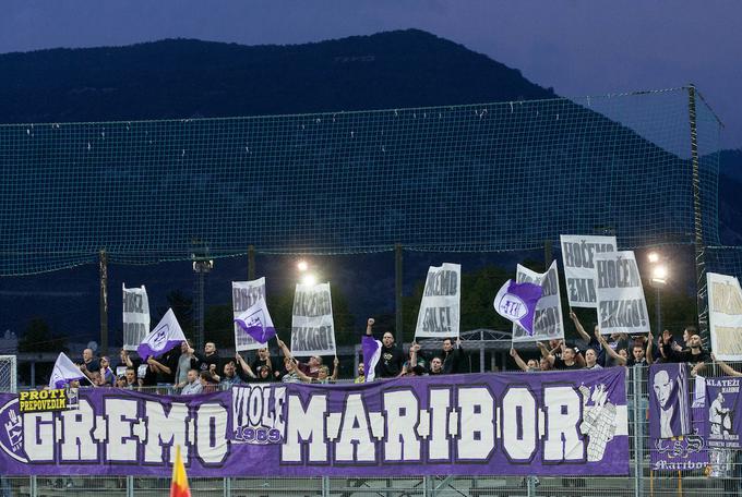 navijači NK Maribor, Viole | Foto: Vid Ponikvar