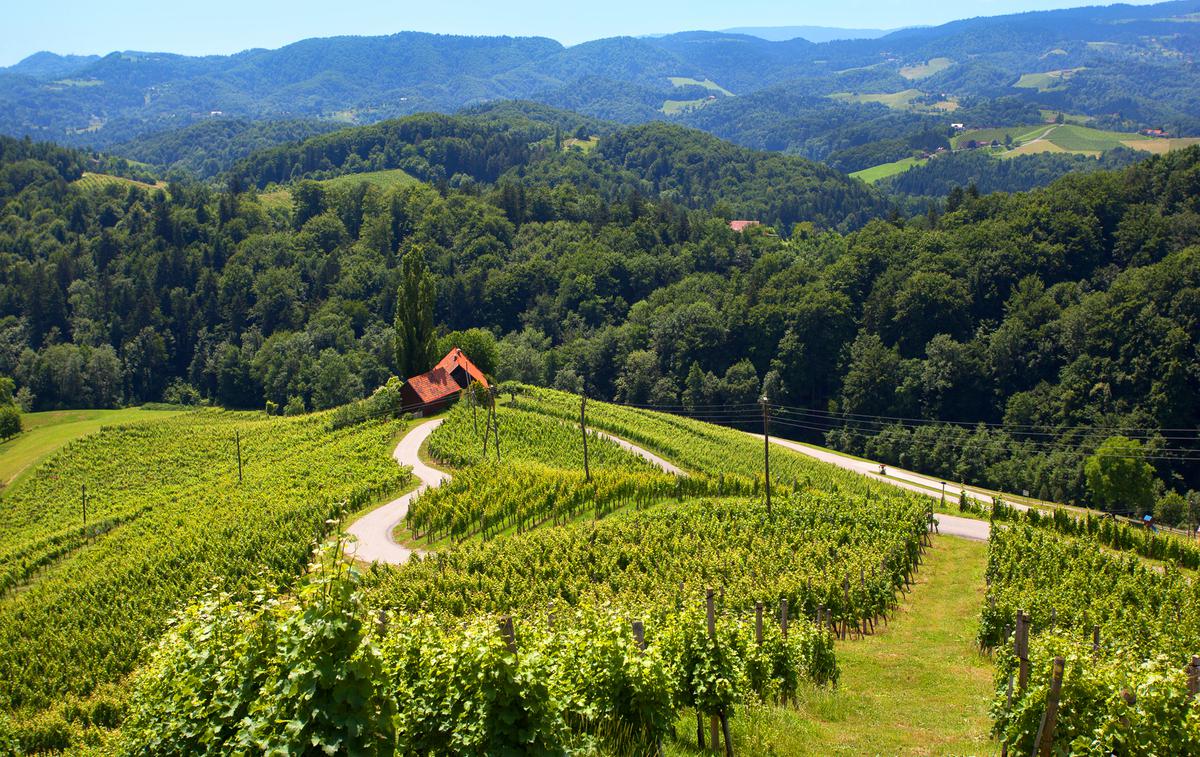 Srce med vinogradi, Svečina | Foto Nea Culpa (www.slovenia.info)