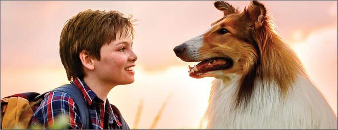 Najslavnejša filmska psička vseh časov, škotska ovčarka Lassie, se je prisiljena ločiti od dvanajstletnega Floriana, ob prvi priliki pa izkoristi priložnost in pobegne nazaj k svojemu ljubemu lastniku. • V videoteki DKino. | Foto: 