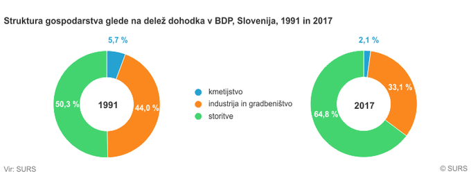 Struktura gospodarstva Slovenija | Foto: surs