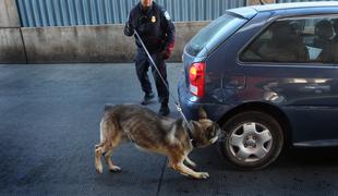 Mamilarski kartel razpisal nagrado na glavo policijskega psa