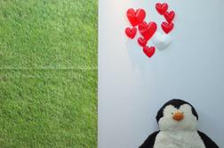 Naredi sam za valentinovo: srce na steni