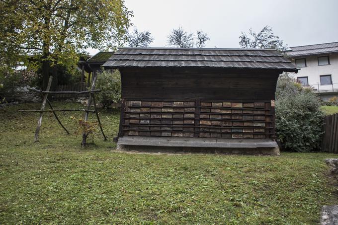 Sejem ApiSlovenija, 40. po vrsti, ki ga Celjski sejem pripravlja v sodelovanju s Čebelarsko zvezo Slovenije (ČZS), je največji tovrstni sejem v širši regiji | Foto: Matej Leskovšek