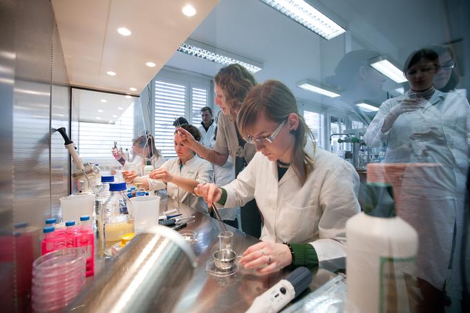 laboratorijske vaje študentov, Biotehniška fakulteta | Foto: Biotehniška fakulteta