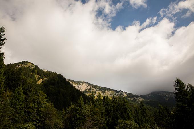 Valvasorjev dom je izhodišče za številne planinske ture, tudi za Stol, najvišji vrh Karavank. | Foto: Žiga Zupan/Sportida
