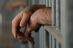 Povprečen zapornik je moški, ropar ali vlomilec, star med 30 in 40