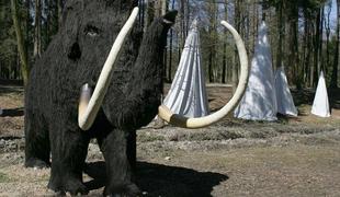 Južnokorejski in ruski znanstveniki želijo klonirati mamuta