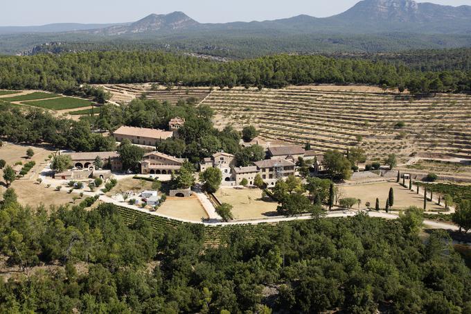 Provansalsko posestvo s pripadajočimi vinogradi sta igralca kupila leta 2012 za okoli 40 milijonov evrov. Tam sta se leta 2014 tudi poročila. | Foto: Reuters