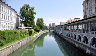 Na ljubljanski tržnici lahko kupite tudi umetnost na kilogram