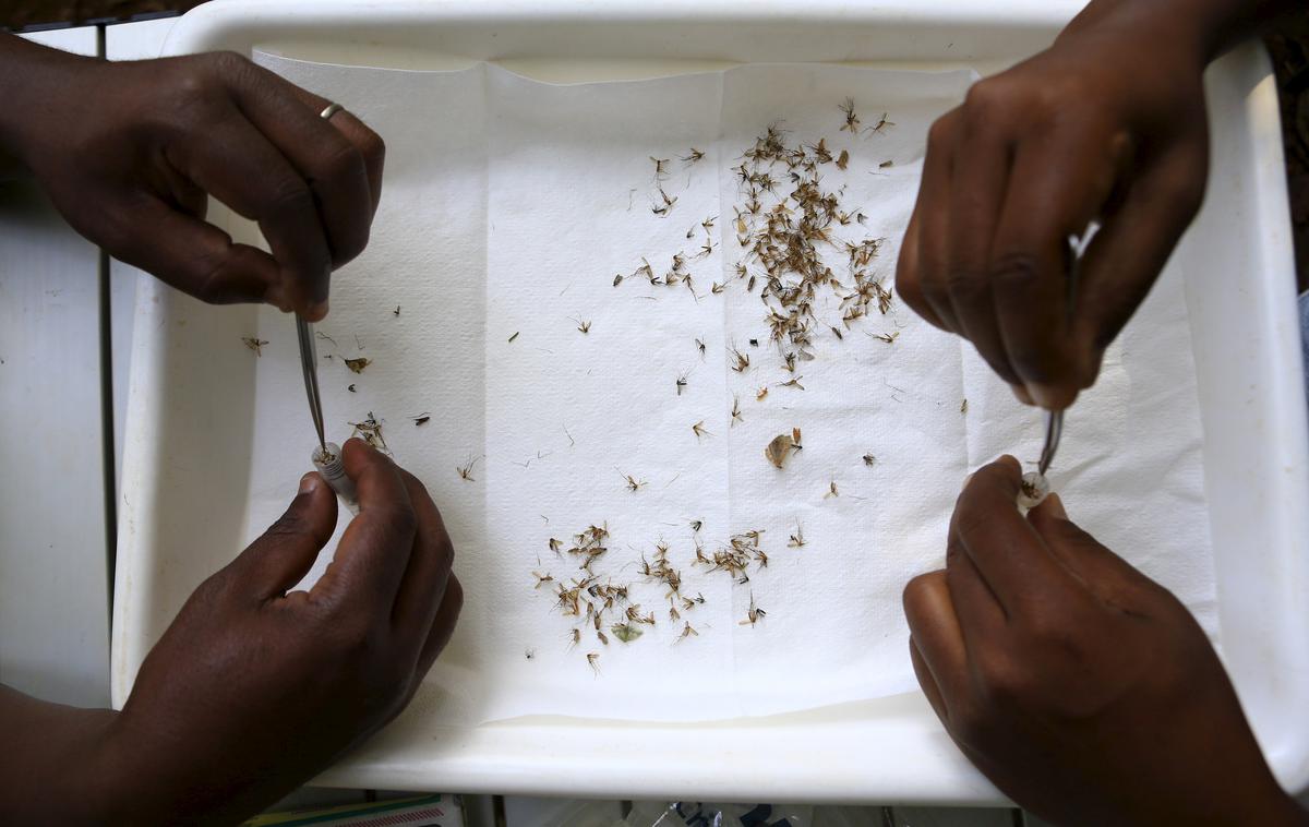 Virus zika Afrika | Foto Reuters