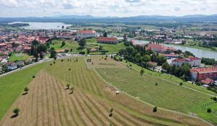 To so arheologi odkrili v najstarejšem slovenskem mestu