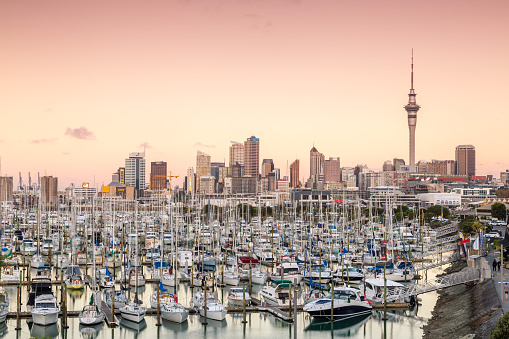 Cene nepremičnin v Aucklandu so zelo visoke. Najemnine lahko dosežejo tudi več tisoč evrov na teden. | Foto: 