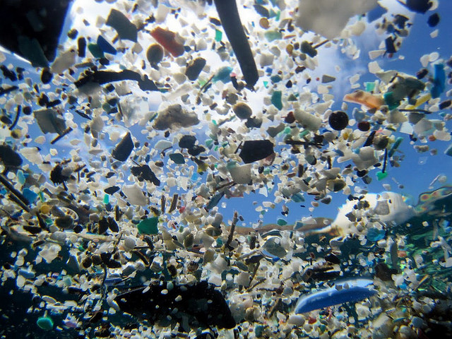Vsak dan v morje zaide ogromna količina plastičnih odpadkov, ki se postopoma spreminjajo v plastično juho – z resnimi posledicami za naše zdravje. | Foto: 
