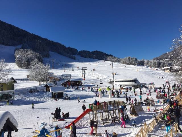 V Kranjski Gori so namerili več kot pol metra snega, obratuje pa 12 od 17 žičniških naprav. | Foto: 