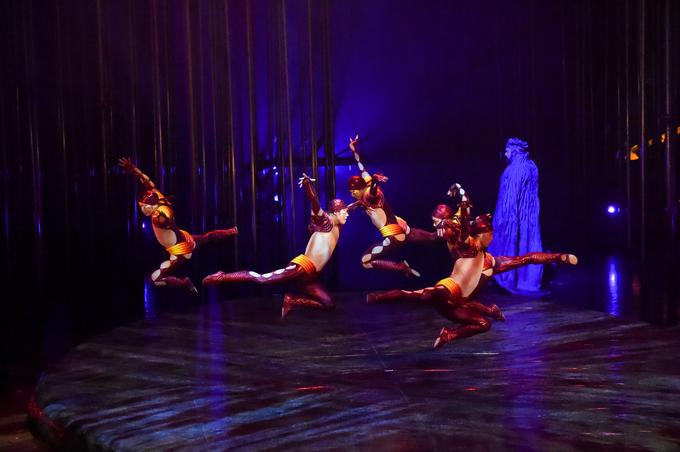 Predstava Varekai je zgodba o upanju in ljubezni, ki sta jo navdihnili mitološka zgodba o Ikarju in osebna izkušnja. Na turneji je že od leta 2002, le eden od nastopajočih, bobnar, pa je v njej že od vsega začetka, kar pomeni, da v njej sodeluje že 15 let in je tako bil del vseh več kot pet tisoč uprizoritev po svetu. | Foto: Arhiv Cirque du Soleil
