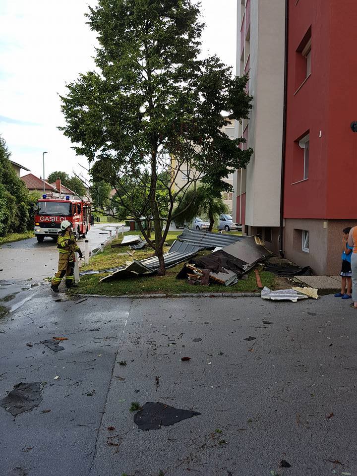 vreme, neurje, ptuj, drevesa | Foto: Alen Iljevec