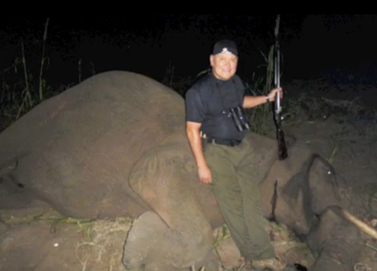 Posnetek zaslona videoposnetka, v katerem se je Parsons hvalil z ubojem slona, ki naj bi teroriziral vas v afriški državi Zimbabve. | Foto: YouTube