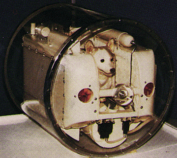 Tale model, ki je nastal po poletu Lajke v vesolje, je bil videti zelo omejen prostor, ki je bil v kapsuli satelita Sputnik 2 namenjen psički.  | Foto: NASA