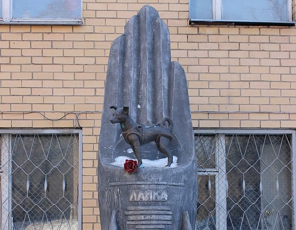 V posvetilo vesoljski psički, ki je morala za nesmrtnost najprej umreti, v Rusiji stoji več kipov in spomenikov. Tale je v Moskvi, verjetno najslavnejši pa je postavljen v Zvezdnem mestu (Zvyozdny gorodok), ​​​​​​​kjer je sicer tudi Gagarinov center za urjenje kozmonavtov.  |  Foto: Flickr (dovoljena uporaba pod licenco Creative Commons) | Foto: 