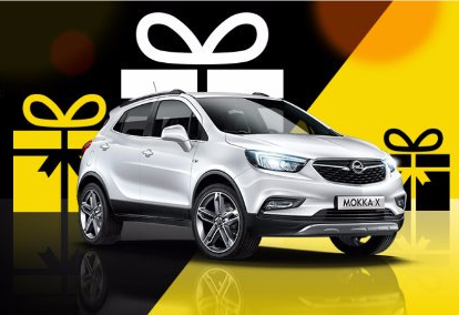 Opel božičnica | Foto: 